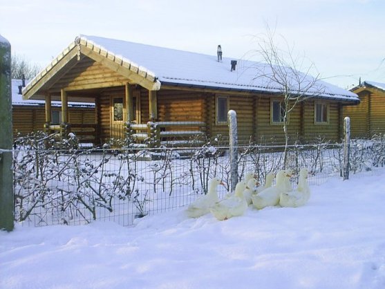 sneeuwfoto.jpg